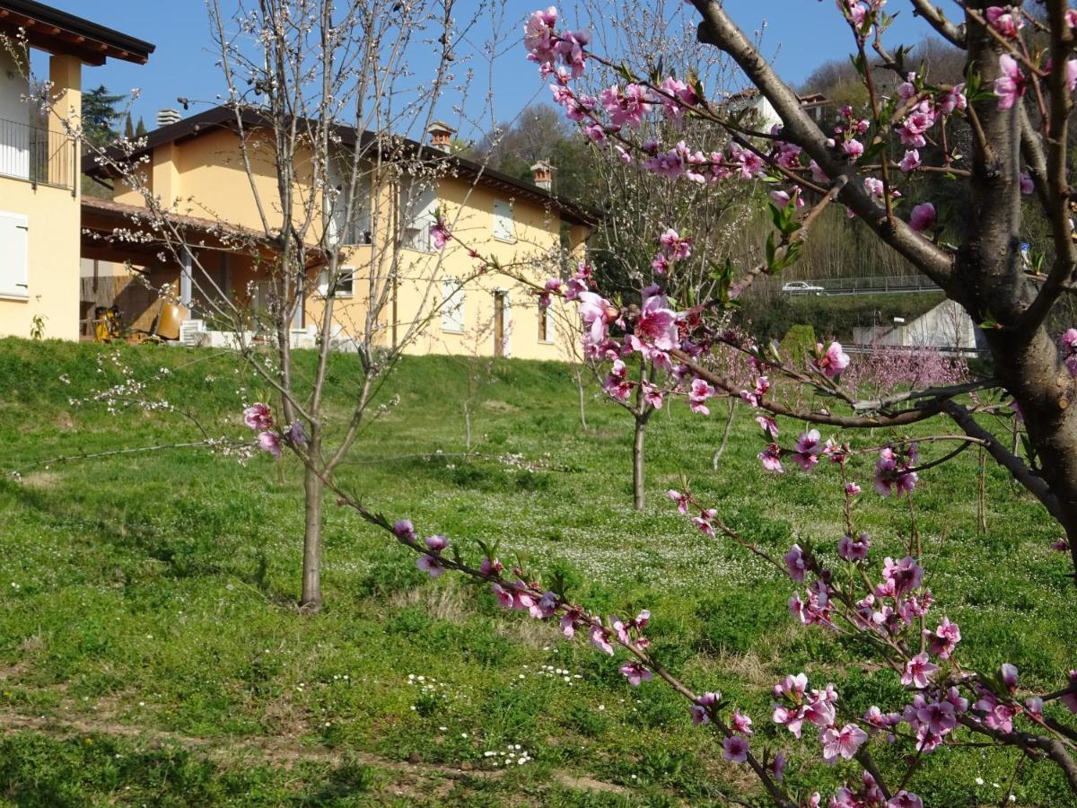Cascina Legnago Trilocale A 6 Chilometri Da Salo' Apartment Villanuova sul clisi Bagian luar foto