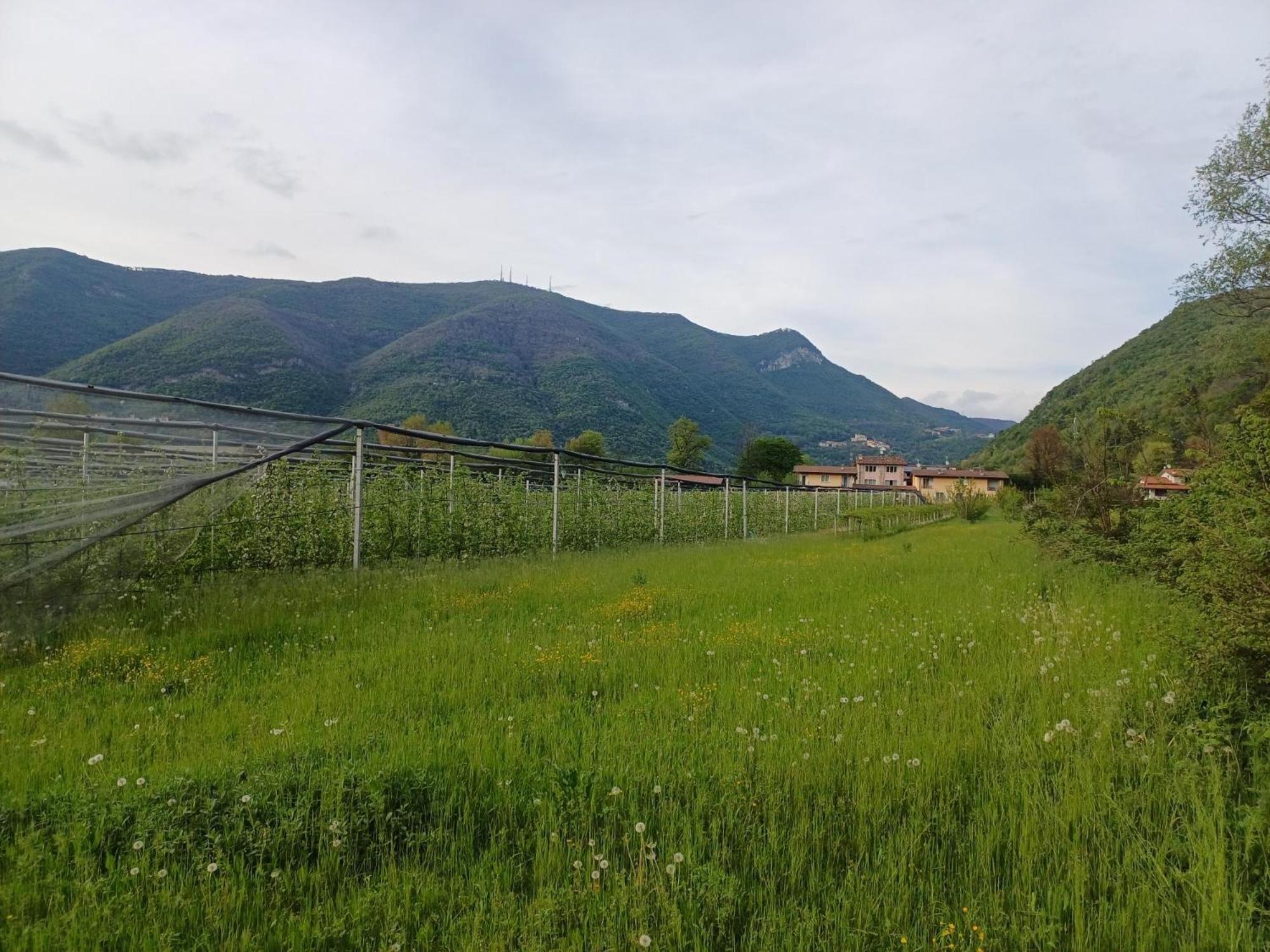 Cascina Legnago Trilocale A 6 Chilometri Da Salo' Apartment Villanuova sul clisi Bagian luar foto